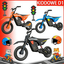 Kinder Elektro Dirtbike 300W