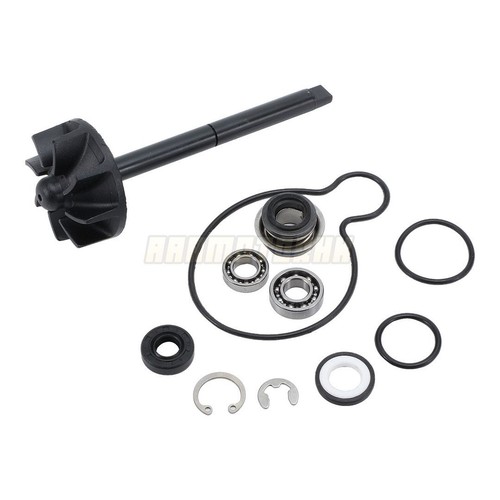 Wasserpumpe reparatursatz - wasserpumpe,