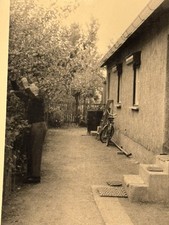🚳Vintage Foto Mann pflückt Äpfel am Haus Fahrrad Garten 1950er Hamburg Stempel