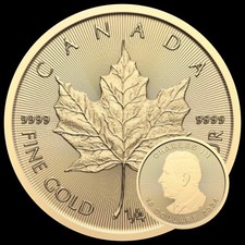 Goldmünze 1/4 Unze/oz  999.9 Gold „Maple Leaf“ 2024