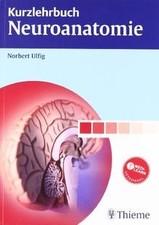 Kurzlehrbuch Neuroanatomie von