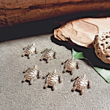 6 Motivperlen – Schildkröte