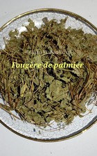 Palmfarn getrocknet 100 g –