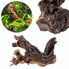 WURZEL FÜR AQUARIEN, HART