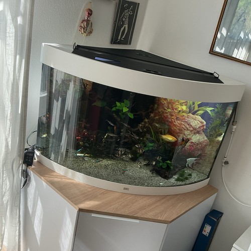 Juwel eckaquarium glas - juwel,