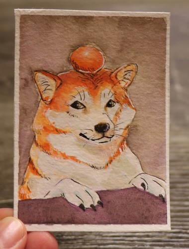 Original shiba inu - original,