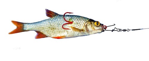 Bavaria köderfisch system - bavaria,