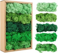 Islandmoos, Moos in 5 Versch