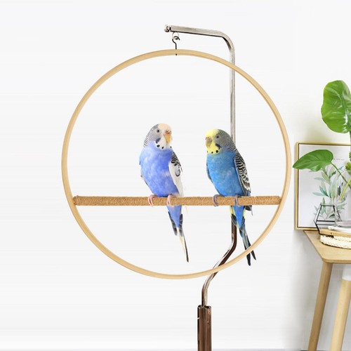 Parrot swing stand activity - parrot,