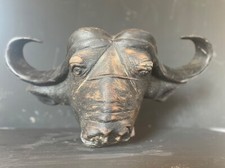 Afrikanischer Büffelkopf