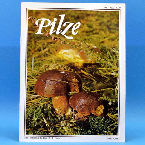 Pilze pilzkunde - pilze,