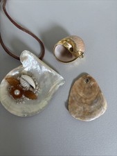 Muschel perlmutt perle - muschel,