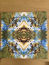 Vibracathedral Orchestra The