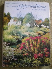 Gräser und Farne im Garten -