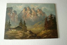 älteres Ölbild Berge