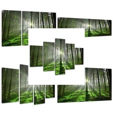 LEINWAND WANDBILDER BILD WALD