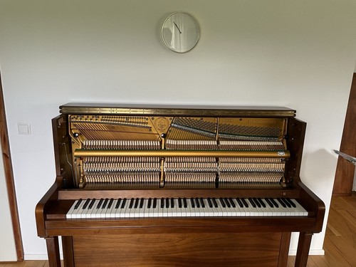 Roth junius klavier - klavier, (ibach)
