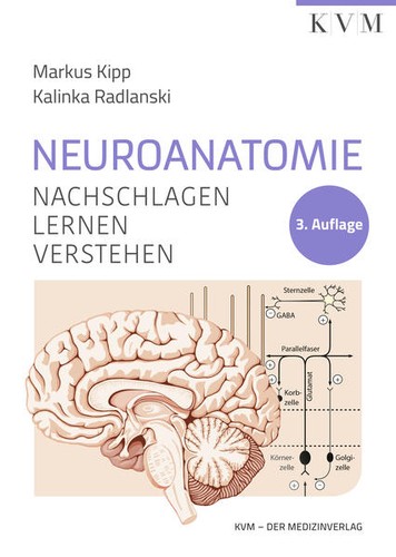 Neuroanatomie markus kipp - |,