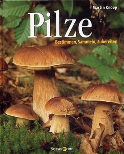 Pilze bestimmen sammeln - bestimmen,,
