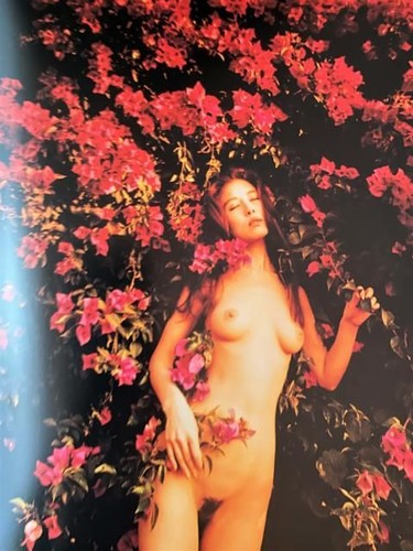 Yamauchi erotica curiosa - yamauchi,