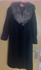 Breitschwanz Swakara Karakul