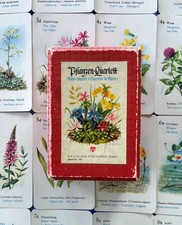 Antique Plant Animals Quartet