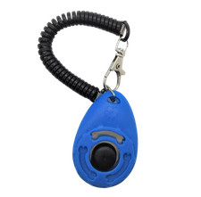 Clicker Training Hundetraining Karlie Speed Clickertraining Hundeerziehung Trick