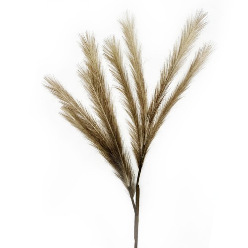 Künstliches pampasgras pampas - pampasgras,