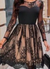 SHEIN Clasi Damen Spitze Mesh Durchsichtige Überlagerung Knielanges Kleid