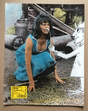 Die eiserne Jungfrau