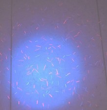 Sicherheitspapier mit