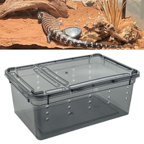 Futterbox für reptilien - für,