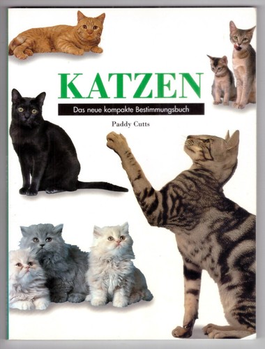 Katzen das neue - das, kompakte