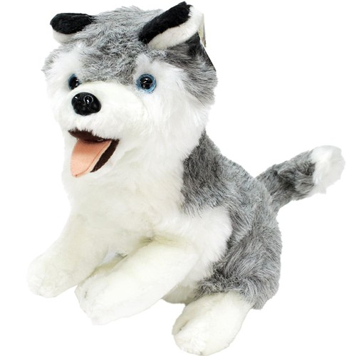 Plüschtier husky sitzend mit - plüschtier,