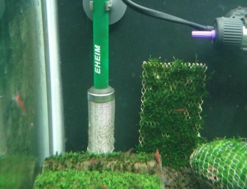 Edelstahl aquarium mesh netz - aquarium,