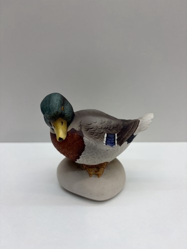Goebel stockente mallard - stockente,