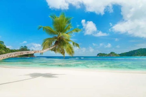 Wandbild tropical beach baie - wandbild:,