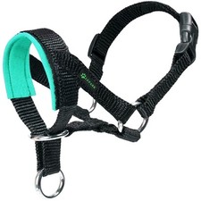 Hundehalfter Verstellbar Mit