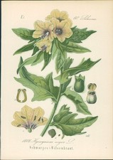 Chromolithographie : Schwarzes