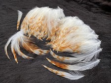 110 Federn, 6-12cm, weiß-orange Bastelfedern, Hahnenfedern, Osterdeko, Fasching