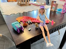 Barbie "It takes two Camping"