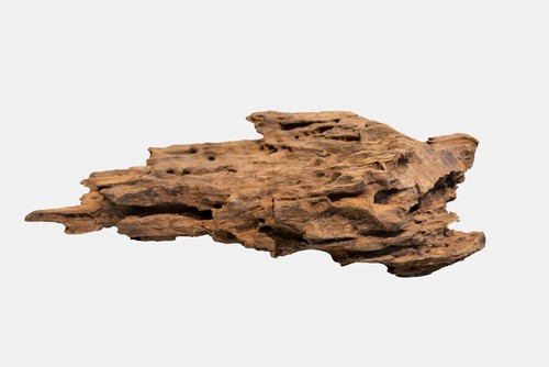 Superfish honeycomb wood - superfish,