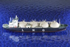 Northwest Shearwater