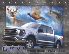 Ford F150 Trucks USA 4x4