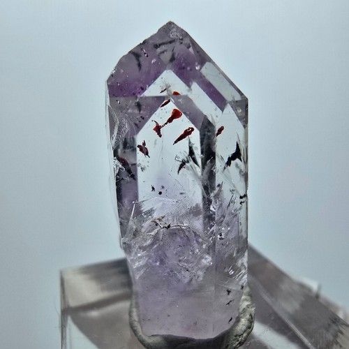 Harlekin lemurian phantom - harlekin,