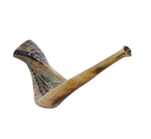 Koscheres widderhorn schofar - koscheres,