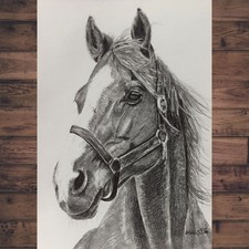 Pferd Bleistiftzeichnung Original, Pferde Bilder, Pferde Zeichnung, Gemälde