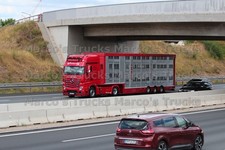 LKW Foto Mercedes-Benz Actros Viehtransporter Deutschland rot HIMML #k8ns