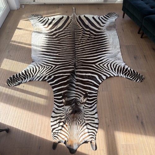 Echtes zebrafell vom - echtes,