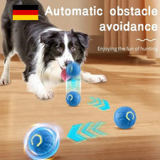 Interaktiver Hundespielzeug